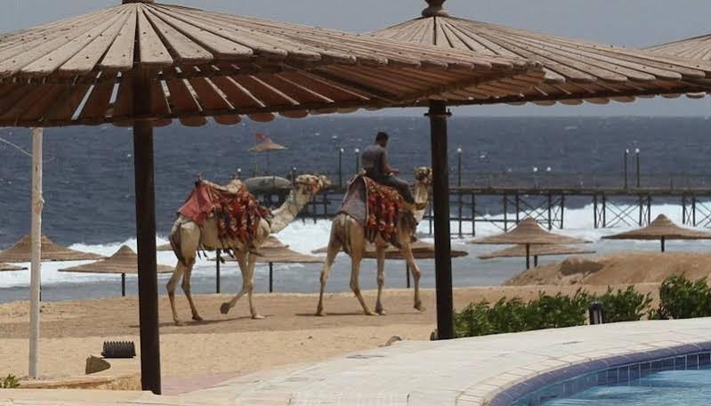 Life Resort Coral Hills Kuszeir Kültér fotó